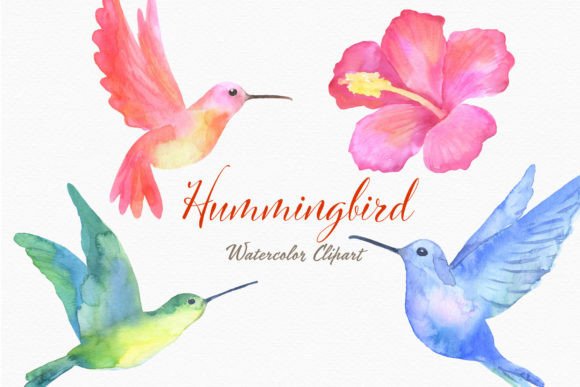 Hummingbird Bird Watercolor Clipart: A Designer's Guide