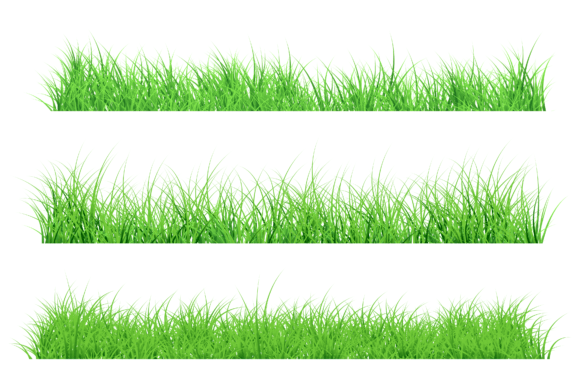 Spring Grass Background: Fresh Design Elements